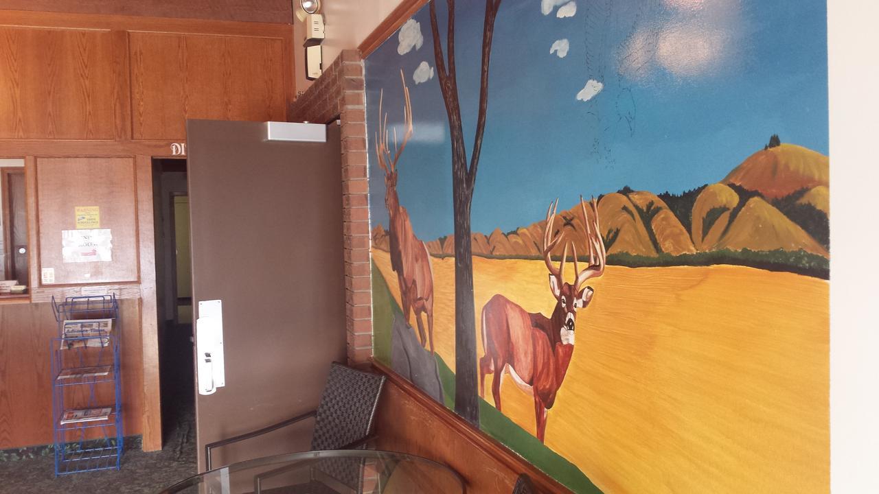 Maple Creek Motor Inn Zewnętrze zdjęcie